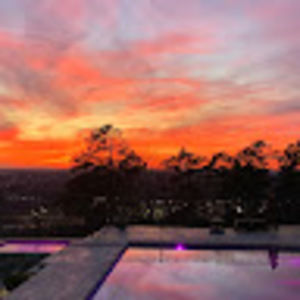 Meet your Posher, David and sally